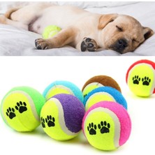 Hereveoyuncak 3lü Renkli Desenli Tenis Topu Kedii Köpek Oyuncağı
