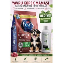Flexi For Kuzu Etli Yavru Köpek Maması 2,5 kg Whiteveterinay Glucosamine Liquid Cat&dog 100 ml Hediye