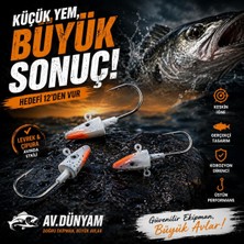 Ryo Sekai Balık Kafa Jig Head (3 Adet)