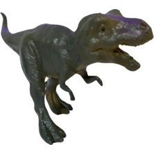 Tyrannosaurus Dinazor 15 cm - Q603-9 - 1 Adet