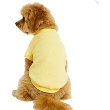 Gedyco Lemon Yellow Küçük Irk Köpek Likralı Triko