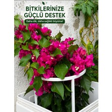 HydroFide Büyük Boy Uzayabilen Bitki Destek Halkası – Bitkileriniz Için Pratik ve Sağlam Destek