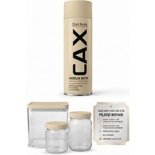 CAXCOLORS Cax Saklama Kapları Için Akrilik Sprey Boya Ahşap Plastik Cam