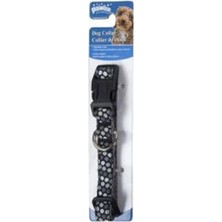 Pawise Köpek Tasması Siyah Xs (15-25CM/10MM)