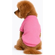 Gedyco Candy Pink Küçük Irk Köpek Likralı Triko
