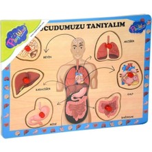 St. Morritz Çocuk Zeka Puzzle Ahşap Oyunları