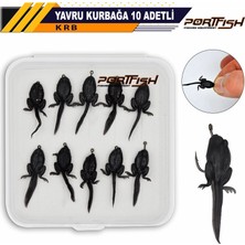 Port Fish Portfish Yavru Kurbağa/10 Adet