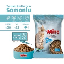 Lamito Adult Cat Somonlu 100 G x 5 adet