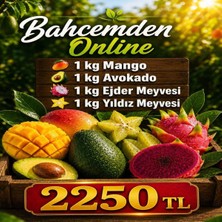 Bahcemden Online Tropikal Meyve Paketi