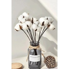 İndecor Houseware 6lı Beyaz Doğal Pamuk Dalı Ithal - Doğal Görünümlü Kuru Çiçek 6 Dal - Vazo Dahil Değildir