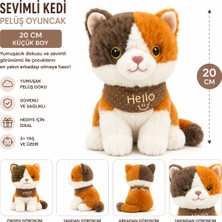 Vardem Oyuncak Sevimli Kedi Pelüş Oyuncak 20 cm – Küçük Boy, Hello Fularlı