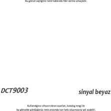 Decotone Pvc Boyası Ral 9003 - Sinyal Beyaz