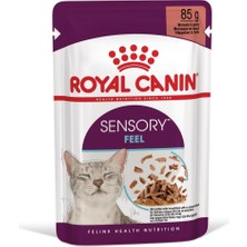 Royal Canin Sensory Feel Gravy 85 GRX12 Adet Kedi Konservesi