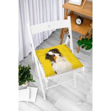 Rem Home Rengirenk Dekoratif Sandalye Minderi Beyaz Modern Bağcıklı 40 x 40 cm Mutfak Balkon Oturma Minderi