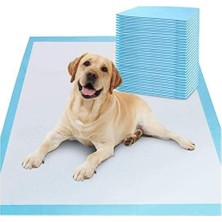 Evcil Hayvan Pedi, Kedi Köpek Pedi, Emici, 60X90
