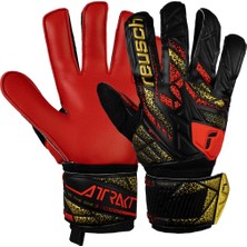 St. Morritz Attrakt Solid