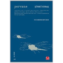 Lisinya Pervane