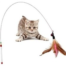 NW NessiWorld Kedi Oyun Oltası 90 cm