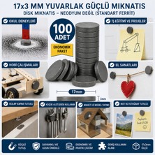 Aydogan's Dy 100 Adet Mıknatıs 17X3 mm Yuvarlak Güçlü Mıknatıs Disk Mıknatıs