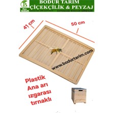41X50 Kalite Plastik Tırnaklı Yüksek Ana Arı Izgarası