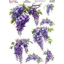 Ehobici Sulu Transfer Kağıdı 25X35CM ST-2385