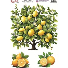 Ehobici Pirinç Dekopaj Kağıdı 30X42CM PT-1542