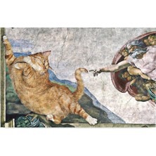 AyrStore Monnhein Kedi Köpek Komik Tasarımlı Dekoratif Kapı Önü Paspas, Dış Mekan/ev Içi/banyo/mutf