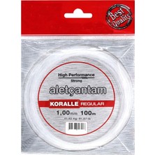 Aletçantam Regular Şeffaf Kalın Misina Ipi 1mm 100 Metre, 01174101101101