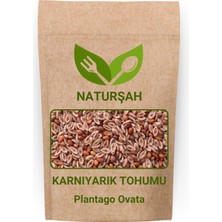 Naturşah Karnıyarık Otu Tohumu 1 kg / Plantago Ovata