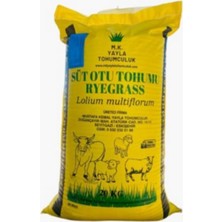 AyrStore M.k. Yayla Tohumculuksüt Otu Tohumu (Ryegrass)-Rye Grass-Italyan Çimi - Reygrass - Tetraploid - 2