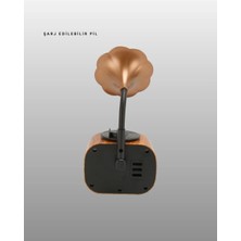 Kablosuz Retro Radyo Hoparlör 5W Güçlü Ses USB Hafıza Kart Destekli Yeni Nesil