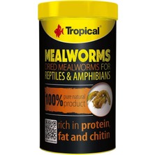 Tropical Meal Worms Un Kurdu 250ML 30 gr