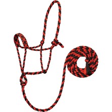 Weaver Leather 10 'kurşun, Kırmızı/siyah, Ortalama At ile Örgülü Halat Halter