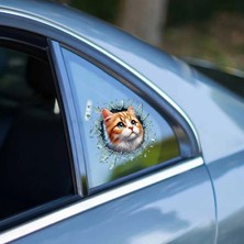 Hace Bazaar Fulcar Sarman Araç Stickerı