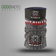 Belirtilmemiş Buff Pitbull