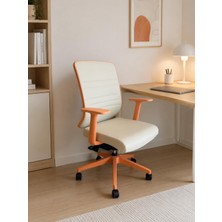 Spark Fine Ofis Sandalyesi Sırt Ergonomik Çalışma Koltuğu