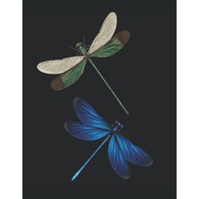 Kazan Hobi Dragonfly Pattern Insect Summer Sun Motivation Focus Discipline Lake Sea: Antı Stress Colorıng Book - Mandalas - Funny Dragonfly Blend Pattern - A4 ... Templates - Antistress - Relax - Coloring