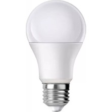 TeknoKapsül Ledx AL-LL12-48V E27 Duy 12V–48V Arası 850 Lümen 9W 6500K Beyaz LED Ampul