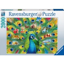 Kazan Hobi Ravensburger 2000 Parça Tavus Kuşu Puzzle