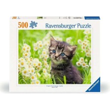 Kazan Hobi Ravensburger 500P Puzzle Kedi Foto, Yapboz