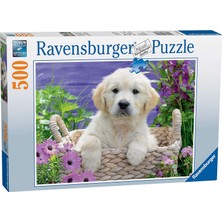Kazan Hobi Ravensburger 500 Parça Yapboz Golden Retriever