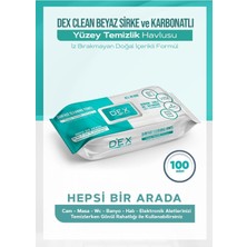 Kazan Hobi Dex Clean Yüzey Temizlik Havlusu 100'LÜ