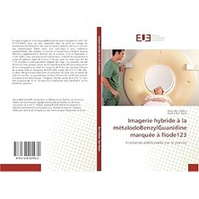 Kazan Hobi Imagerie Hybride À La Métaıodobenzylguanidine Marquée À L'IODE123: Irradiation Additionnelle Par Le Scanner