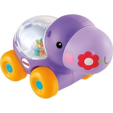 Kazan Hobi Fisher Price Poppity Araçlar, Emeklemeye Teşvik Edici Zıplayan Renkli Toplar, Eğlenceli Sesler, Mor Hipopotam, BGX30