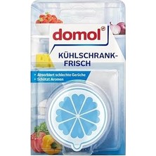 Kazan Hobi Domol Kokusuz Buzdolabı Deodorantı Kartuş ve Karbon Filtre 40 G