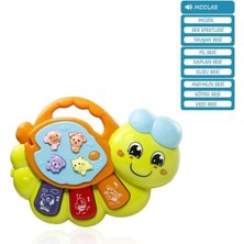 Kazan Hobi JLG-855-68A Işıklı ve Müzikli Solucan