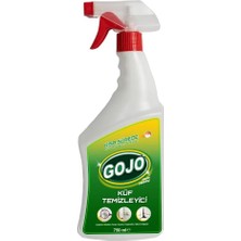 Kazan Hobi Gojo Küf Temizleyici 750 ml