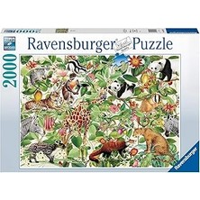 Kazan Hobi Ravensburger 2000 Parça Orman Puzzle