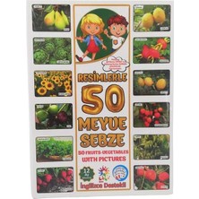 Kazan Hobi LCFS7435 Flash Card 50 Meyve Sebze