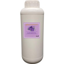 Mouvement Lavanta Reed Diffuser Refill 1000 ml - Oda Kokusu Yedek Şişesi + 20 Adet Çubuk